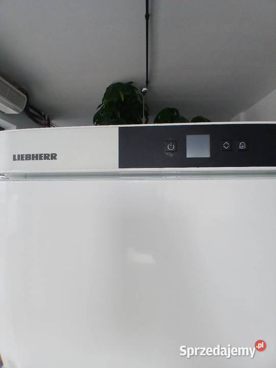 Zamrażarka gastronomiczna Liebherr GG4010 I Biznes i Przemysł Warszawa