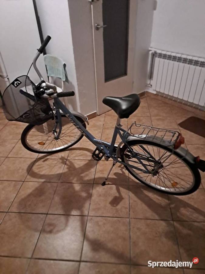 Rower damka z koszyczkiem śląskie