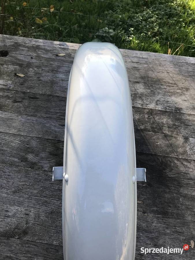 Blotnik Wsk ładny Złotoryja