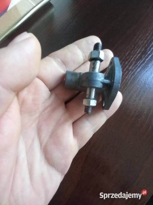 Kruciec zak rys sprzedam