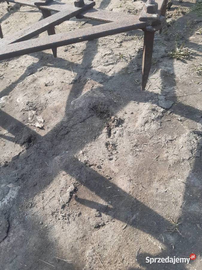 Brony polowe 5 mazowieckie Żelechów