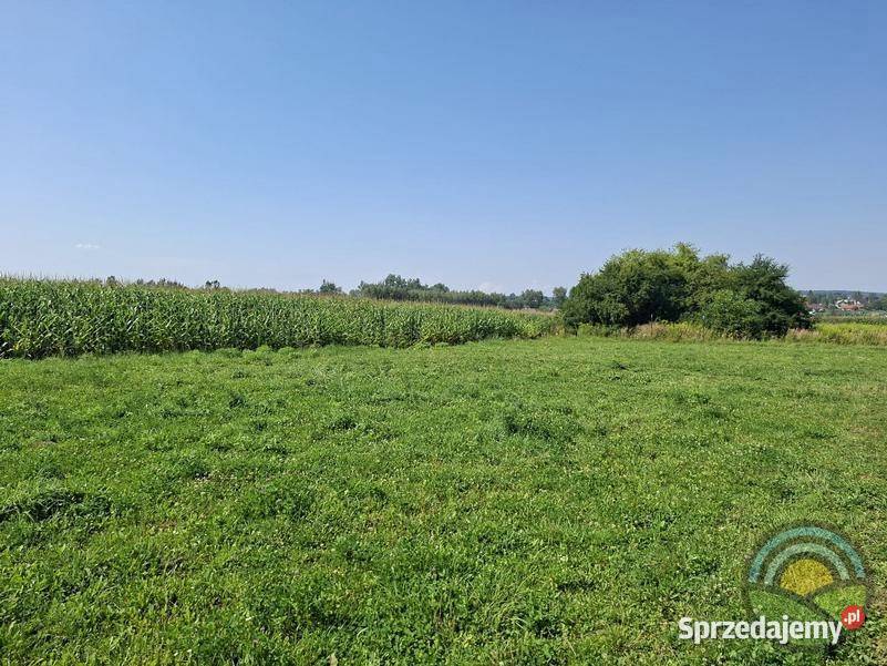 Niegoszowice gm Zabierzów płaska działka 4407 m2 Sprzedaż sprzedam