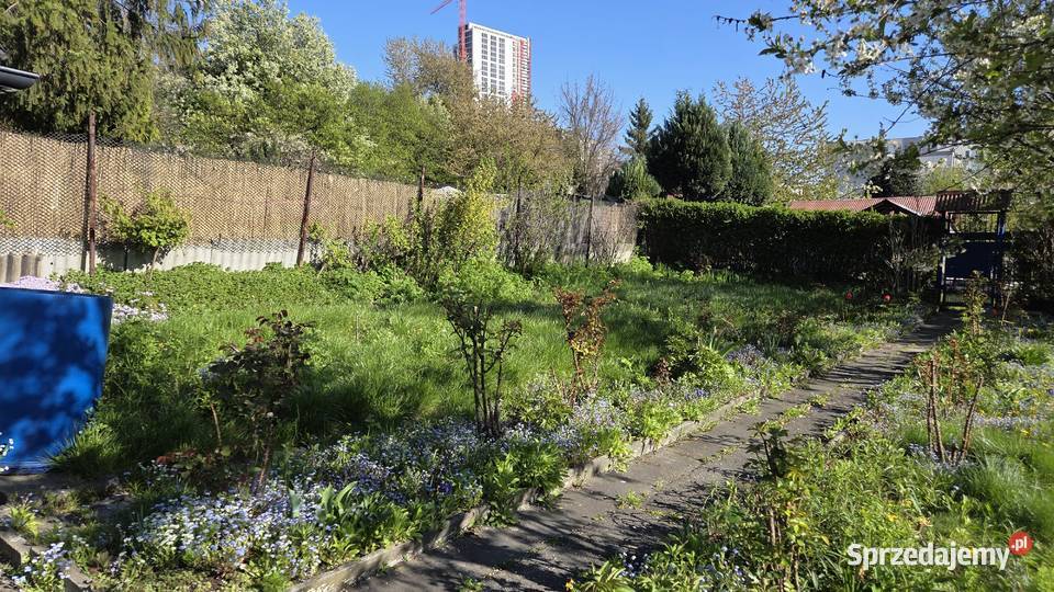 Katowice działka rod rodzinne ogródki działkowe