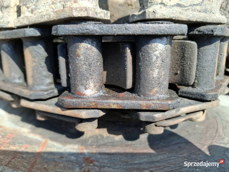 Kopaczka elewatorowa do ziemniaków mazowieckie Skaryszew