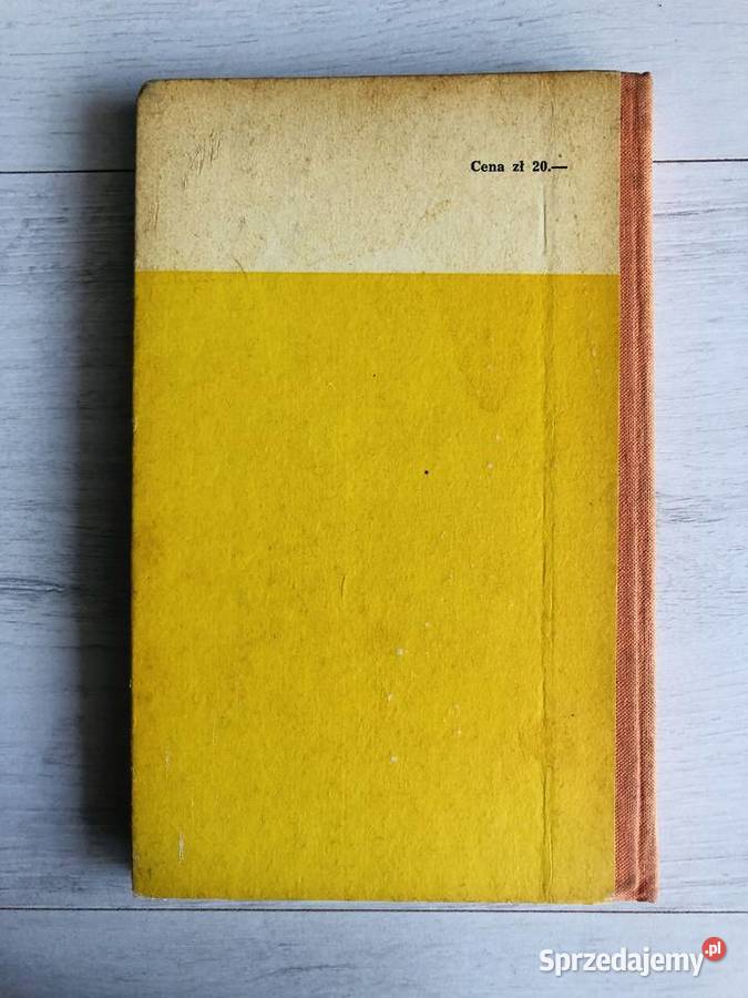 Książka Siedmiu nieobecnych Igor Sikirycki Łódź