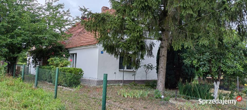 Dom wolnostojący w okolicy kątów wrocławskich mieszkalny Chmielów sprzedam