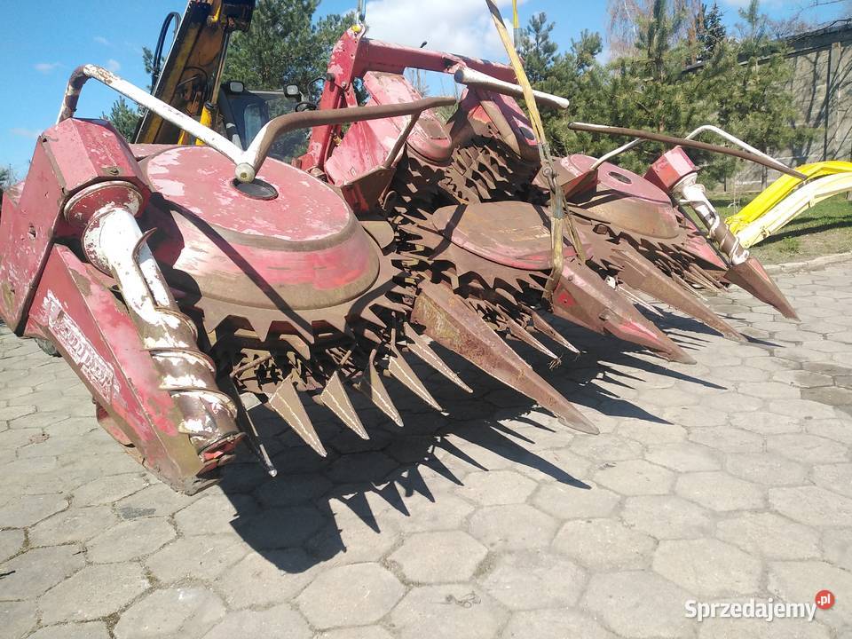 Kemper 4500 kujawsko-pomorskie Strzelno