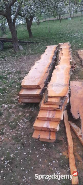 Brusy czereśnia gruszka 57 Babica