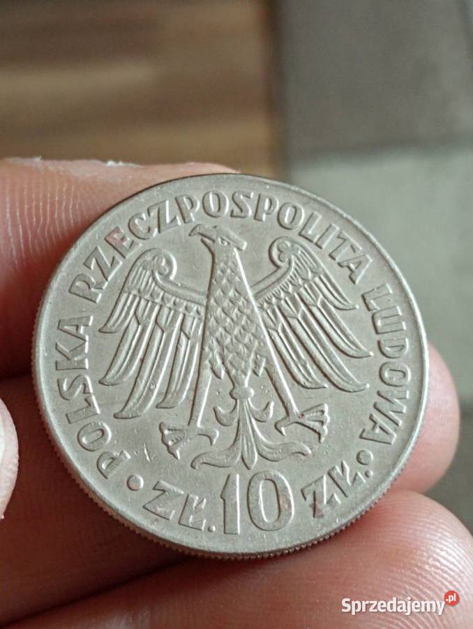 Sprzedam 10 zl 1964 r Chełm