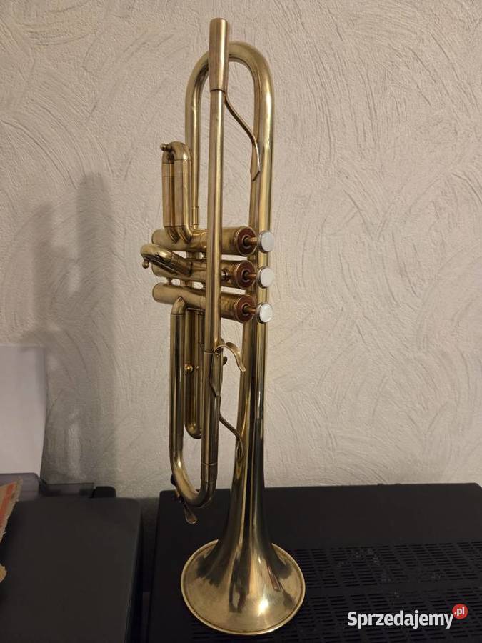 Trąbka WFDiP Polmuz Łęczyca