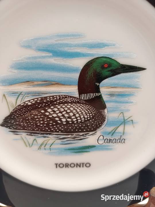 Talerz z Canady Toronto ptak kaczka Zamość