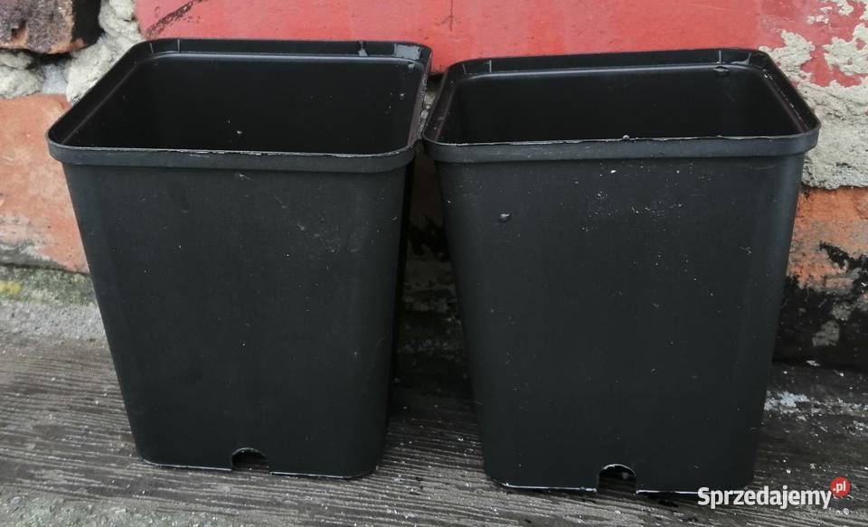 Doniczki produkcyjne P9 9x9x10 czarne 10 sztuk Siewierz