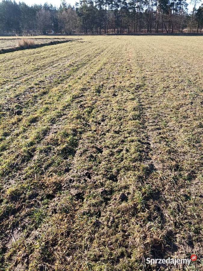 Działka rolna równa bez kamieni 264ha asfalt sprzedam