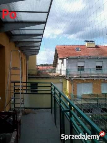 Siatki na okna i balkon siatki koty siatki Wrocław