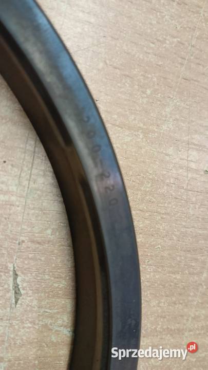 Pierścień zgarniający Z w rozmiarze 200 220 1218 Maniowy