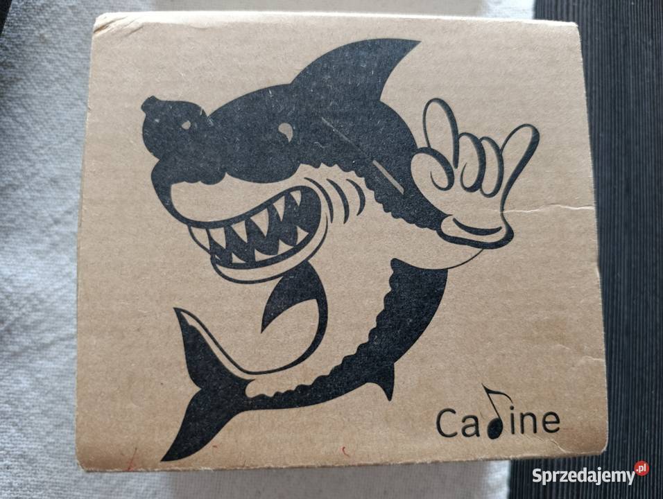 Preamp basowy Caline