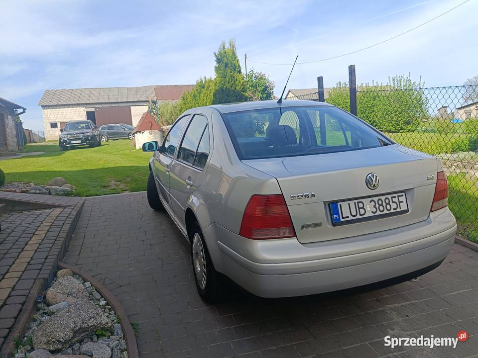 Bora w stanie Palikije Pierwsze