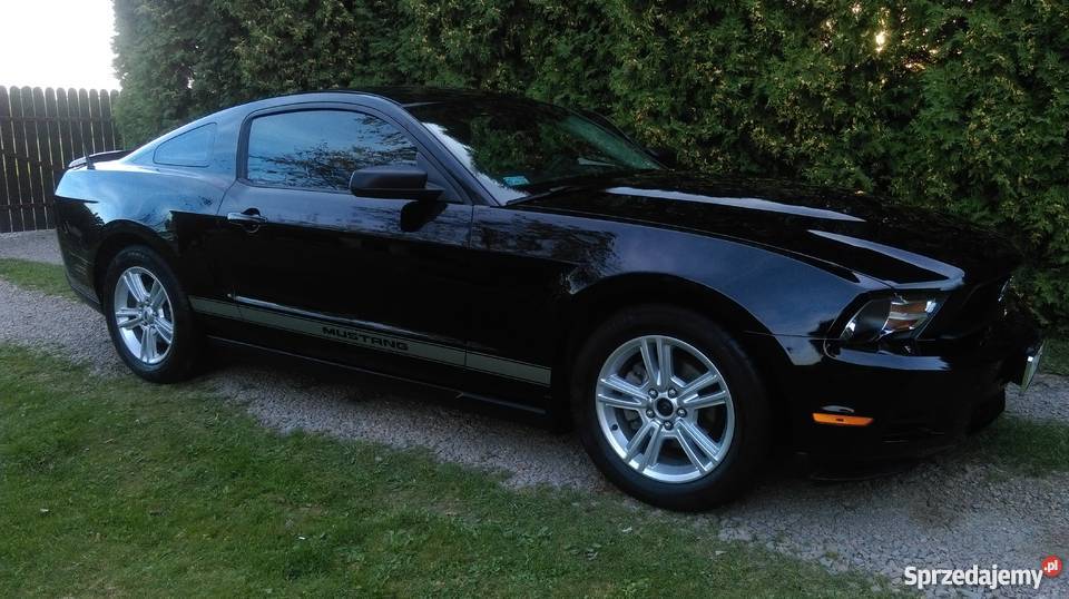 FORD MUSTANG 2010 STAN IDEALNY Mustang Tenczynek