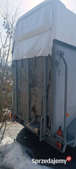 Przyczepka do koni 910 Orzysz sprzedam