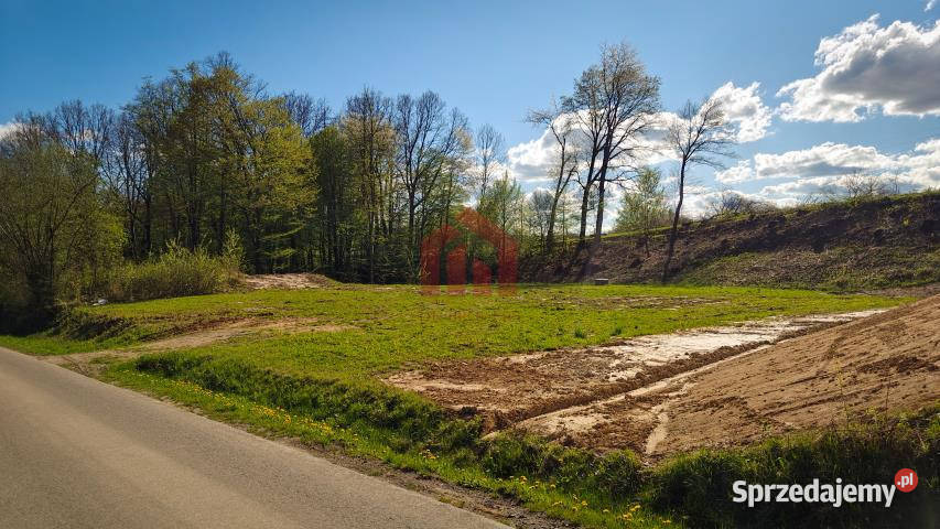 Działkę sprzedam Chmielnik Chmielnik 1362m2 30m
