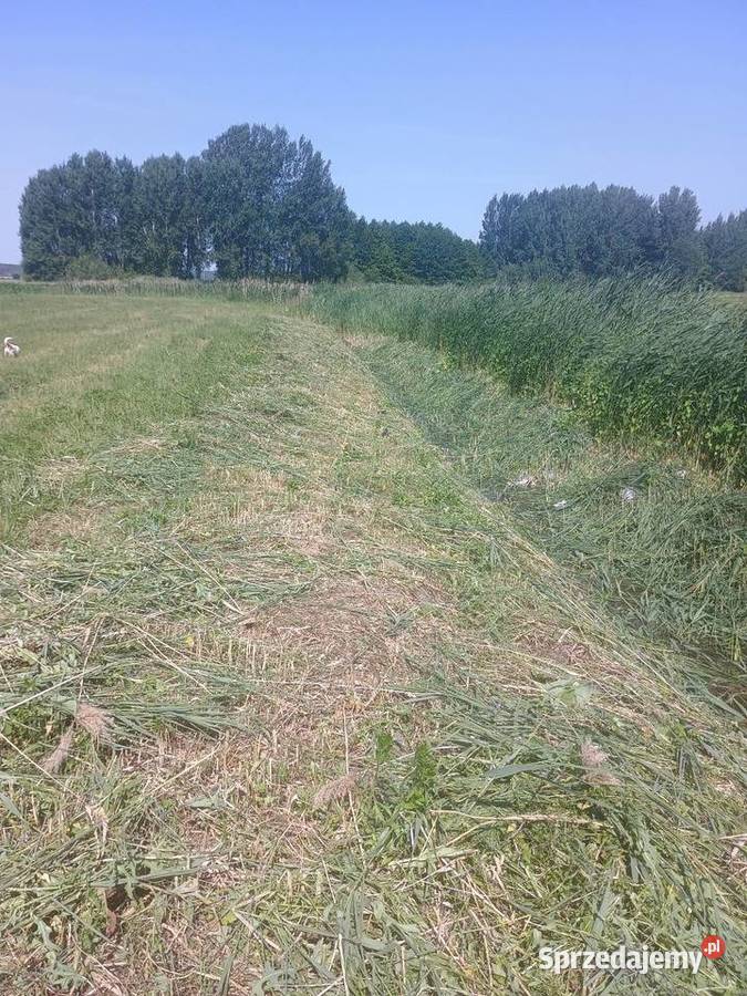 działka rekreacyjna 37zł/m2 świętokrzyskie Pińczów