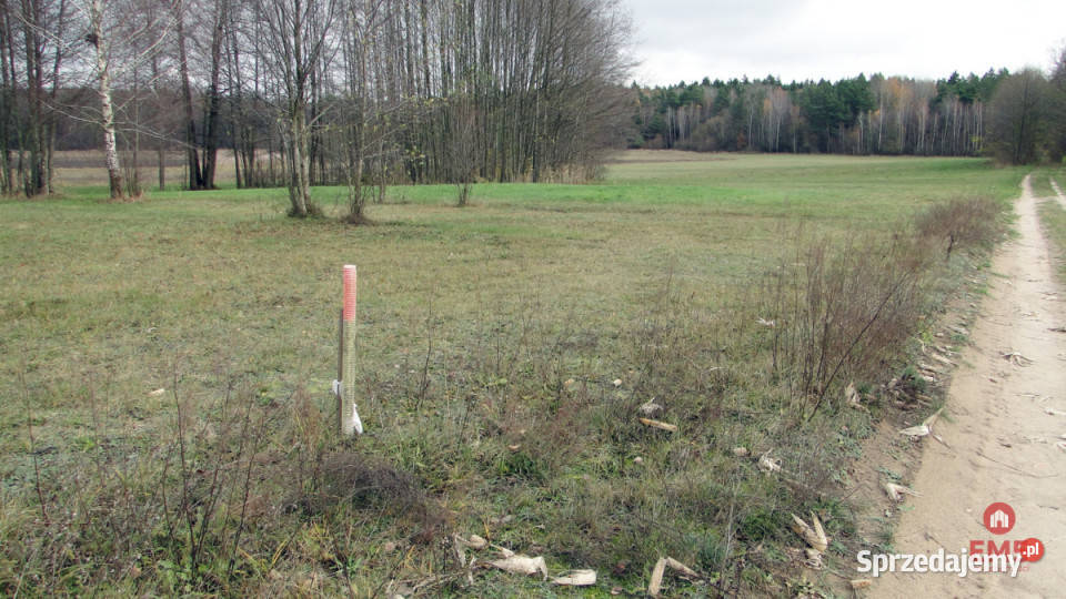 Grunt Tołcze 1000m2 kanalizacja