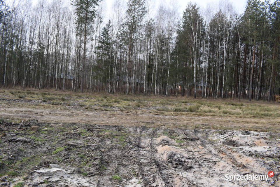 Działki 10a pod zabudowę pod lasem Widełka sprzedam