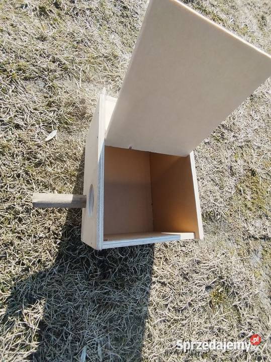 Butki legowej papug faliste wysyłka