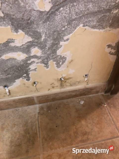 Iniekcje krystaliczne ciśnieniowe podciąganie pomorskie Chojnice usługi budowlane