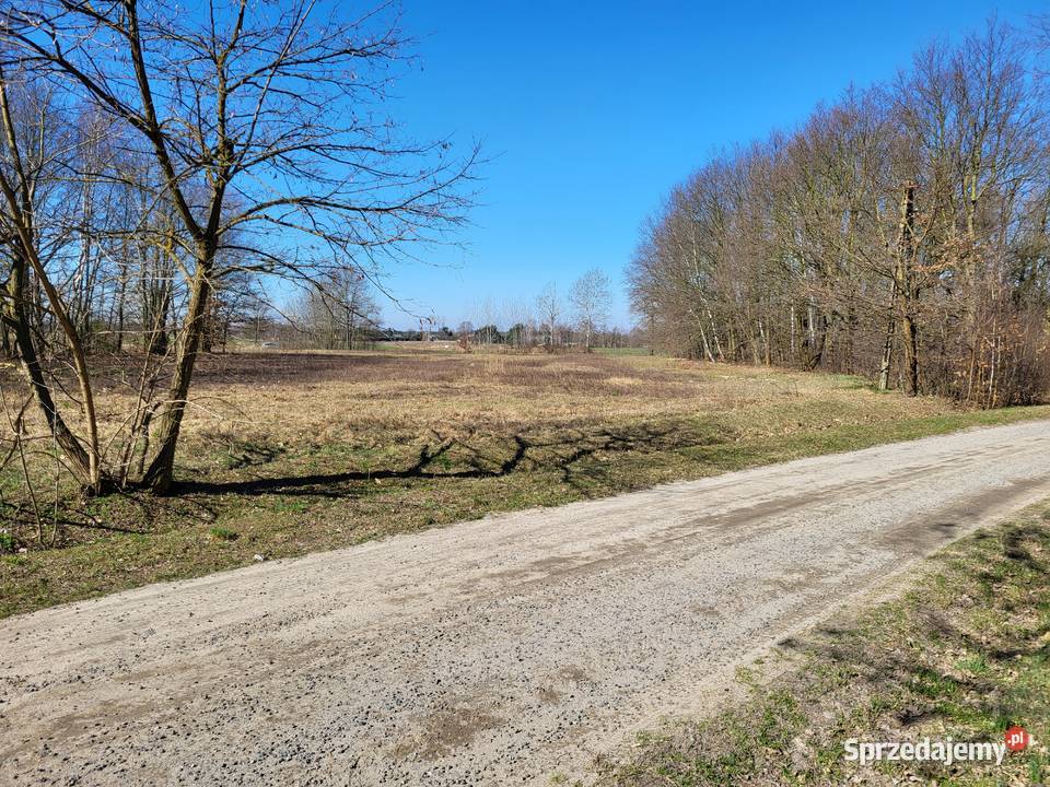 Działka budowlana 5400 m2 7 Gmina Konopnica wieś 5400m2 łódzkie Wrońsko