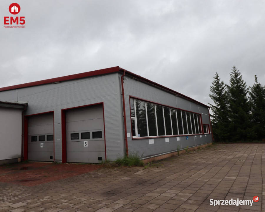 Lokal Suwałki 794m2
