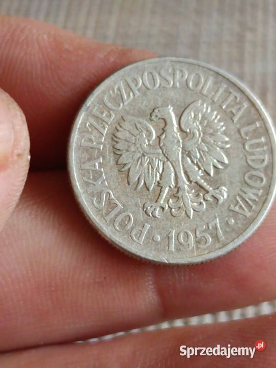 50 gr 1957r lekka skretka sprzedam Numizmatyka Chełm