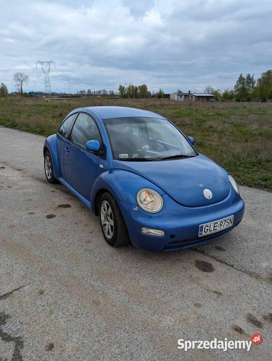 VOLKSWAGEN Beetle Cedry Małe
