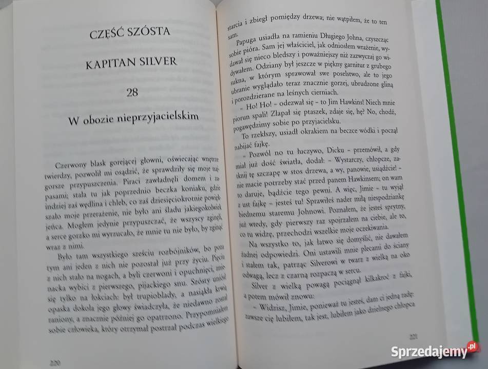 Robert Louis Stevenson Wyspa skarbów Wydawn wielkopolskie