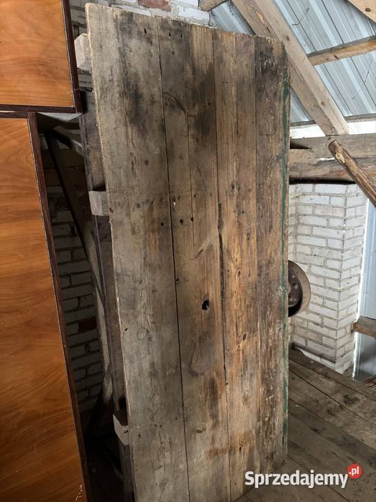 Cerkularka krajzega Frampol