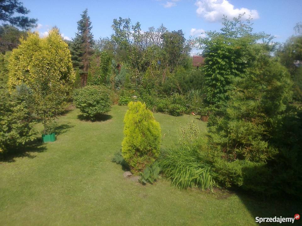 Ogródek działkowy ROD MALBORSKA z piętrowym Warszawa