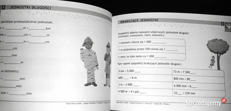 MathRider Poziom 5 Zeszyt zadań domowych 4 Anita lubelskie Chełm