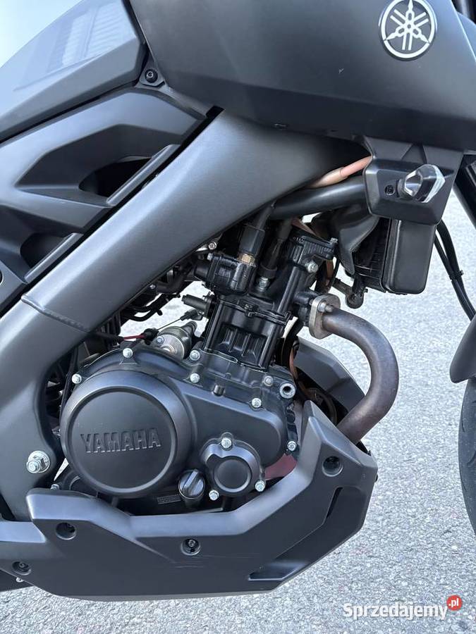 Yamaha mt 125 2018 nieuszkodzony lubelskie