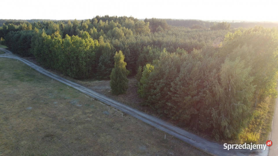 Dom na dużej działce w Świesielicach gm Świesielice
