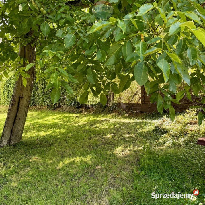 Udziały w nieruchomości lokal mieszkalny Sprzedaż Sosnowiec