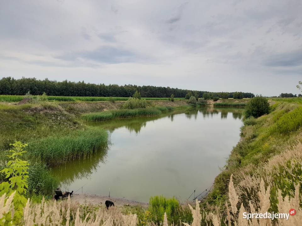 staw rybny jezioro działka 121zł/m2 Sędek