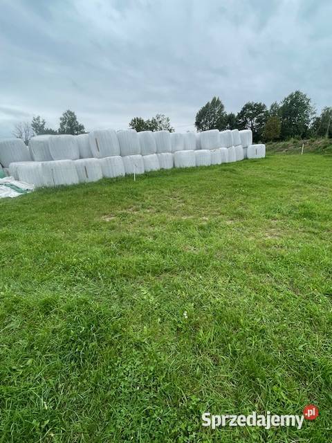 Baloty sianokiszonki Mrągowo