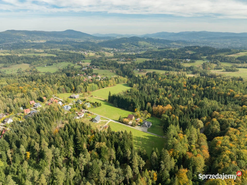 Działka Budowlana z Własnym LASEM3565 M JORDANÓW budowlana sprzedam