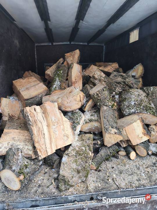 Czereśnia do wędzenia pomorskie