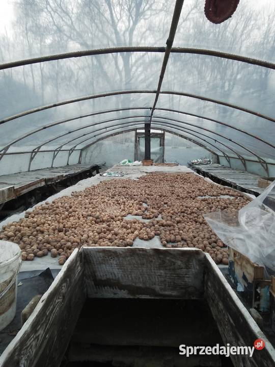 Tunel Foliowy Cieplarka Rozsadnik