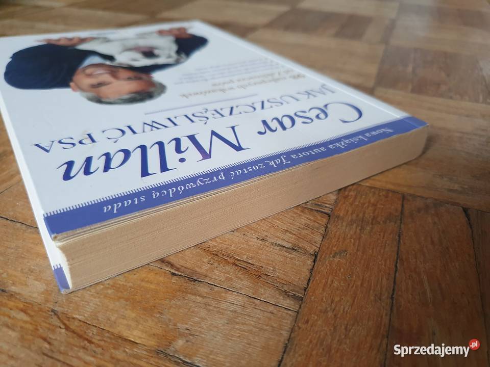 SUPER STAN Cesar MillanZaklinacz psów miękka dolnośląskie Wrocław