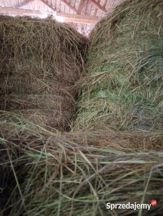 Sprzedam siano słome Trawy, słoma Kaszuby