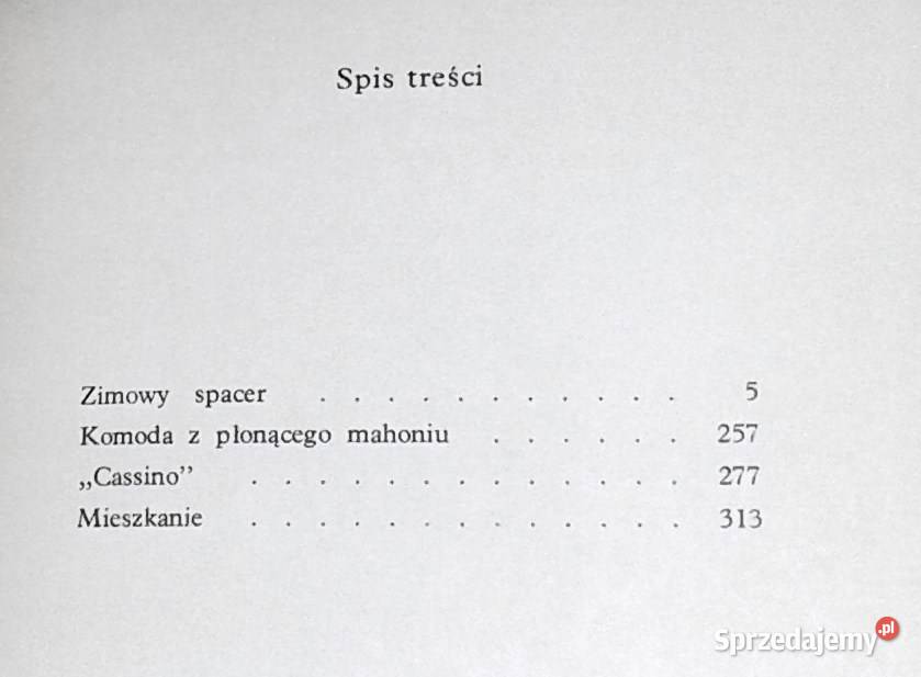 Zimowy spacer Rutha Bogdan miękka Chełm