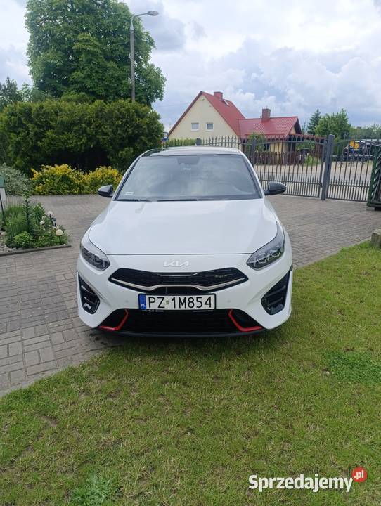 Kia Ceed GT 16 TGDI 204 Automat 2021 Iława