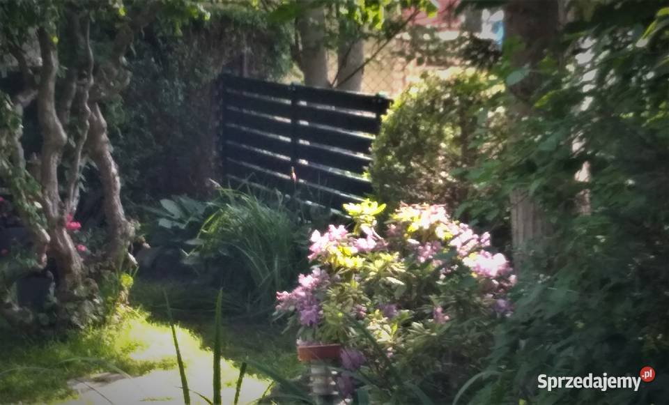 Drewniane ogrodzenia panelowe